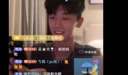 苏弟直播间爆料视频,揭秘幕后真相